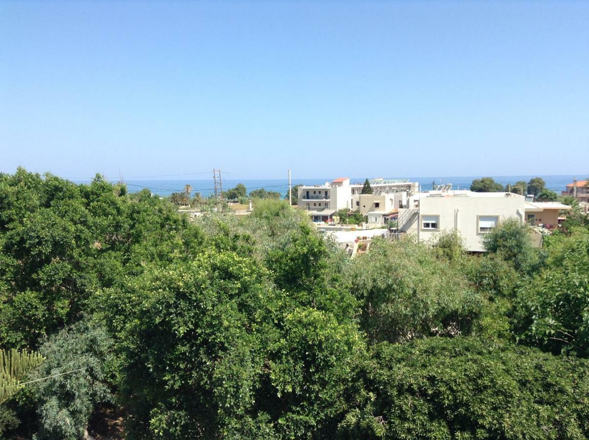 Arokaria Holiday Houses Platanés Exterior foto